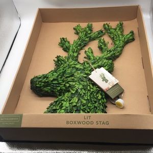 Smith & Hawken Green Lit Boxwood Stag